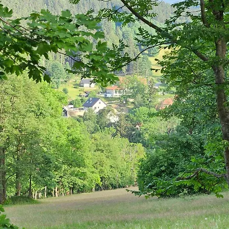 Viwaldi Bike And Apartament *